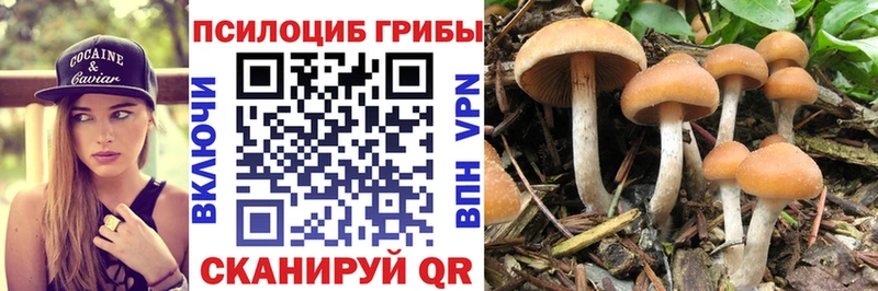 Псилоцибиновые грибы мухоморы  Березники 